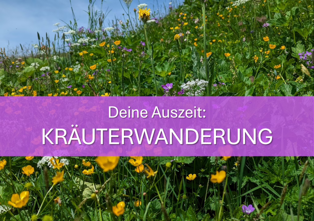 Gutschein Kräuterwanderung